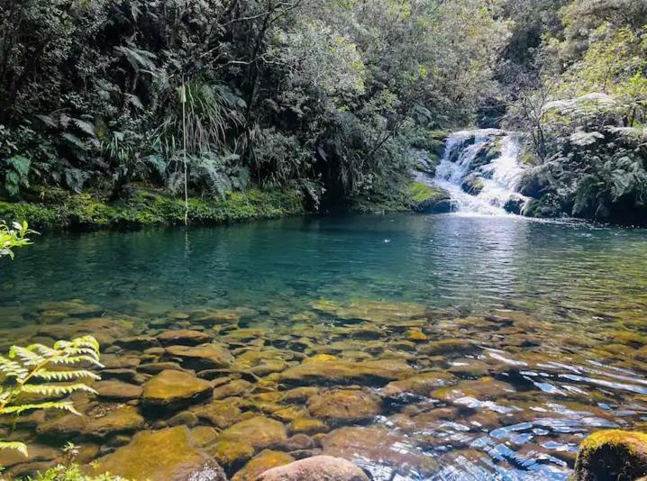 Hikuai Coromandel Secluded Log Cabin Retreat מראה חיצוני תמונה