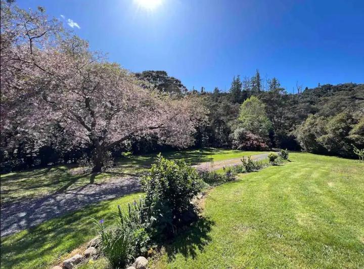 Hikuai Coromandel Secluded Log Cabin Retreat מראה חיצוני תמונה